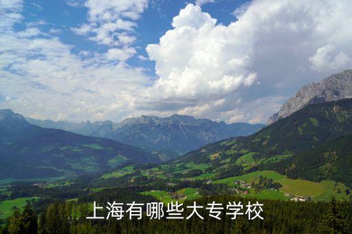 上海市的專科院校有哪些，上海有哪些大專學校