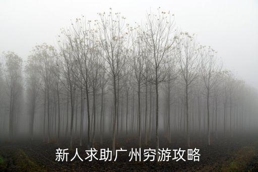 新農人廣州旅游攻略，新人求助廣州窮游攻略