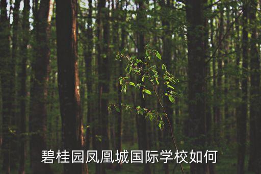 廣州南沙碧桂園鳳凰城學校，有住碧桂園鳳凰城的業主嗎那里學位怎樣