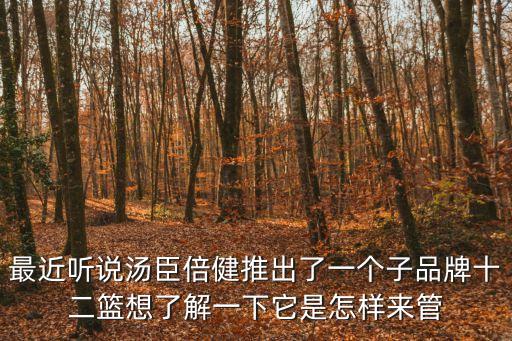 最近聽說湯臣倍健推出了一個子品牌十二籃想了解一下它是怎樣來管