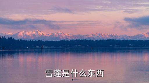 雪蓮，雪蓮是什么東西啊