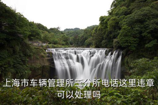 上海市車管三所，想知道 上海市 上海康橋第三車輛管歷所 在哪
