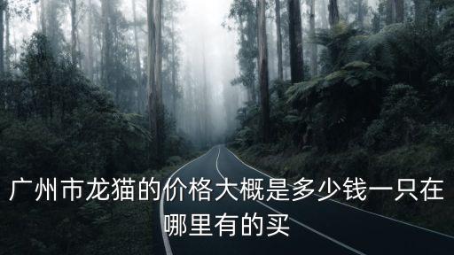 廣州市龍貓的價格大概是多少錢一只在哪里有的買
