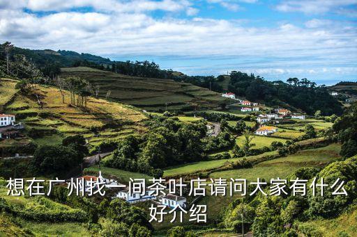 廣州茶樓創(chuàng)業(yè)項目，想開一家茶樓但是靠喝茶 消費太單一了想請教各位 包廂里面還可