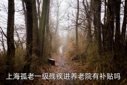 上海孤老一級殘疾進養老院有補貼嗎