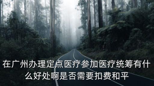 在廣州辦理定點(diǎn)醫(yī)療參加醫(yī)療統(tǒng)籌有什么好處啊是否需要扣費(fèi)和平