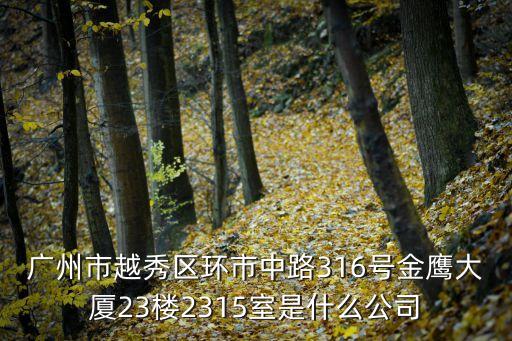 廣州市越秀區(qū)環(huán)市中路316號金鷹大廈23樓2315室是什么公司
