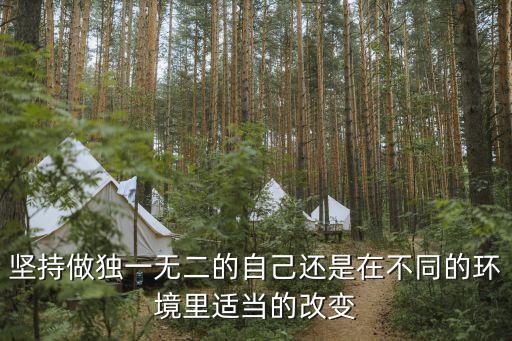 堅持做獨一無二的自己還是在不同的環境里適當的改變