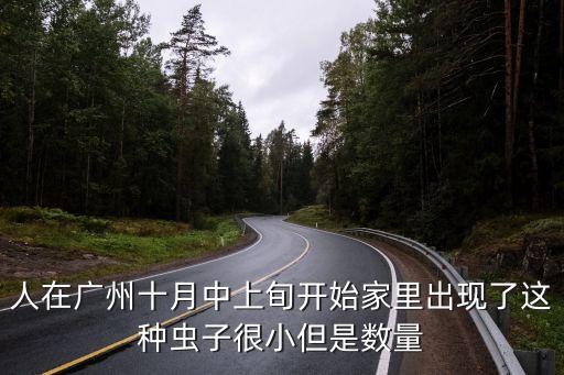 人在廣州十月中上旬開始家里出現了這種蟲子很小但是數量