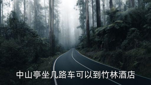 廣州竹林星空酒館，DNF天空樹果實商店有賣嗎