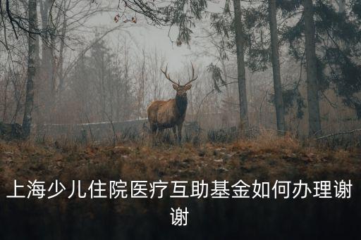 上海少兒住院醫療互助基金如何辦理謝謝
