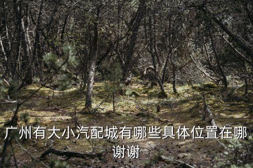 廣州汽保設(shè)備門市集中在哪，廣州有大小汽配城有哪些具體位置在哪謝謝