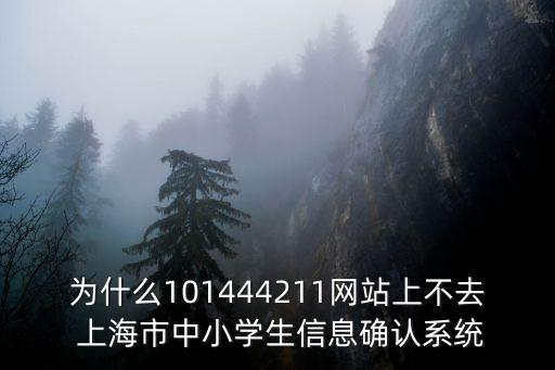 上海市中小學(xué)生安全網(wǎng)，為什么101444211網(wǎng)站上不去