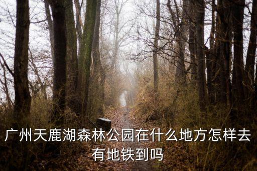 廣州天鹿湖森林公園在什么地方怎樣去有地鐵到嗎