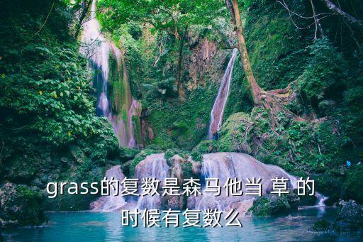 grass的復數是森馬他當 草 的時候有復數么