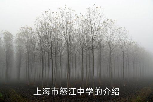 上海市怒江中學的介紹