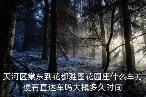 天河區棠東到花都雅圖花園座什么車方便有直達車嗎大概多久時間