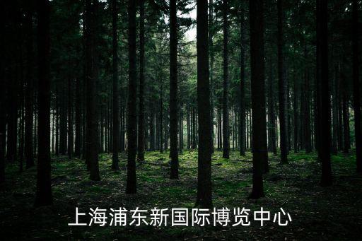 上海市浦東新區(qū)蘆亞路8號(hào)，上海apple store 地點(diǎn)