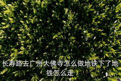 長壽路去廣州大佛寺怎么做地鐵下了地鐵怎么走