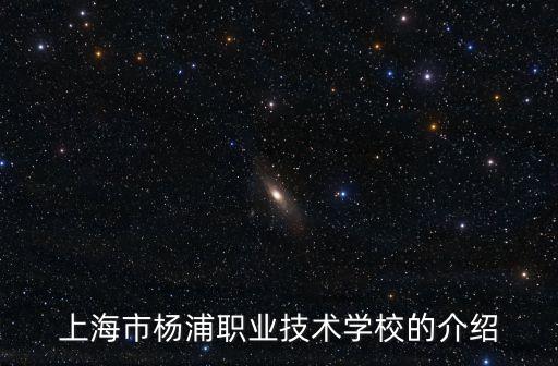 上海市楊浦職業技師學院，誰知道楊職南校的全名和地址