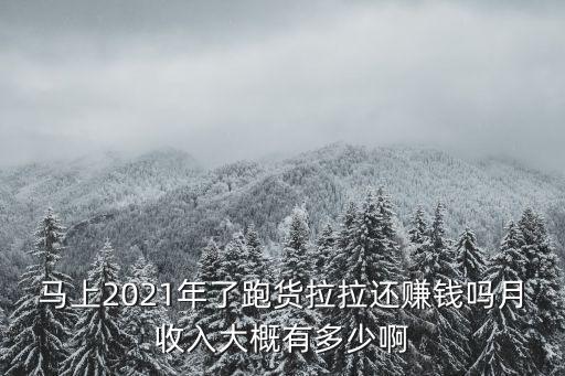 上海市貨拉拉一月能賺多少，2019去上海開貨拉拉賺錢嗎