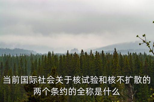當前國際社會關于核試驗和核不擴散的兩個條約的全稱是什么