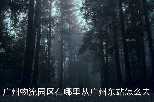 廣州市花都區(qū)空港物流園區(qū)，空港物流加工區(qū)西二道在哪怎么去