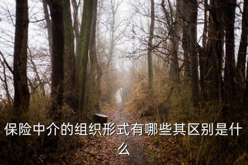 保險(xiǎn)中介，保險(xiǎn)中介的組織形式有哪些其區(qū)別是什么