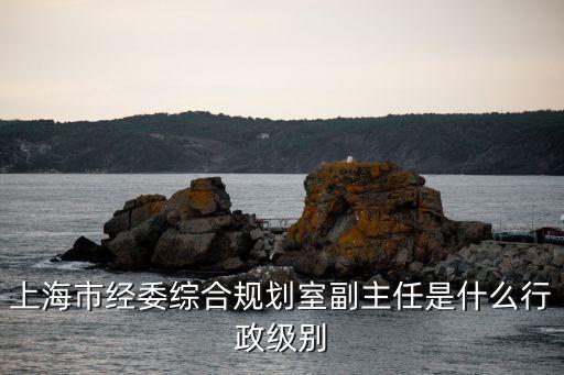 上海市經委綜合規劃室副主任是什么行政級別