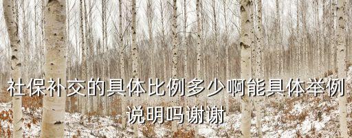 社保補交的具體比例多少啊能具體舉例說明嗎謝謝