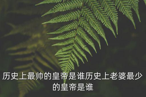 歷史上最帥的皇帝，歷史上最帥的皇帝是誰(shuí)歷史上老婆最少的皇帝是誰(shuí)