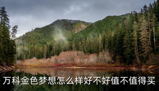 廣州萬科金色夢想三期，萬科金色夢想交通方便嗎應該怎么過去