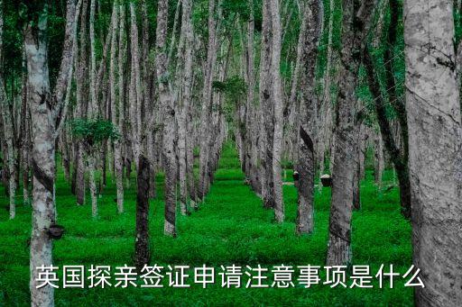英國(guó)探親簽證申請(qǐng)注意事項(xiàng)是什么