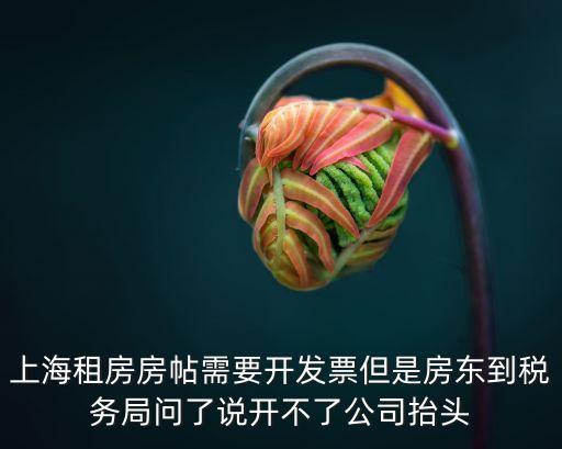上海租房房帖需要開發票但是房東到稅務局問了說開不了公司抬頭