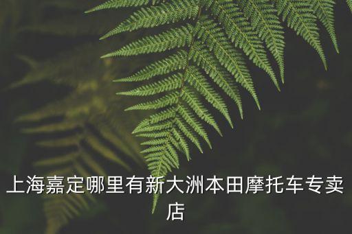上海市南翔鎮摩托車專賣店，上海哪里有摩托車行 有賣摩托跑車的