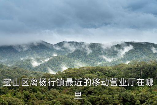 寶山區(qū)離楊行鎮(zhèn)最近的移動(dòng)營(yíng)業(yè)廳在哪里