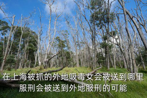 上海市治安總隊(duì)抓的人應(yīng)該是關(guān)在哪里，在上海被抓的外地吸毒女會(huì)被送到哪里服刑會(huì)被送到外地服刑的可能