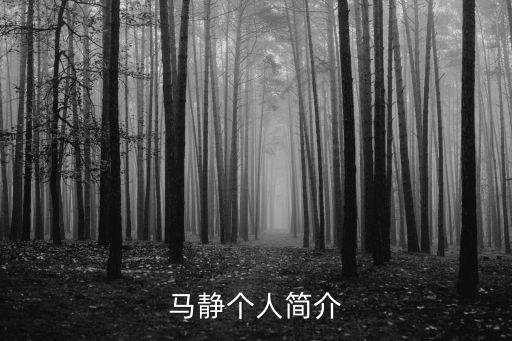 上海市經信委 馬靜，馬靜這名字怎么樣