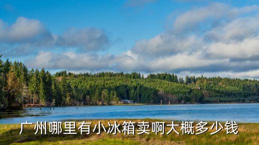 廣州家用冰柜價格，廣州冰柜價格
