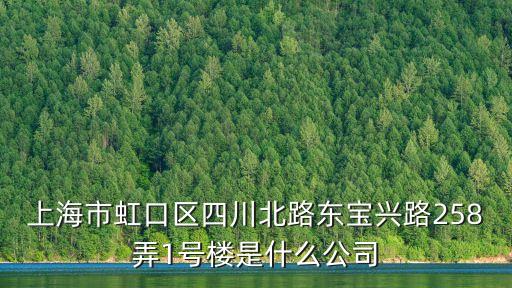 上海市瀚龍依諾，上海市虹口區四川北路東寶興路258弄1號樓是什么公司