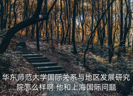 華東師范大學國際關系與地區發展研究院怎么樣啊 他和上海國際問題