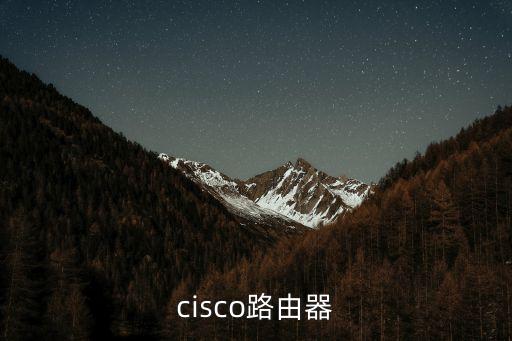 思科路由器，cisco路由器