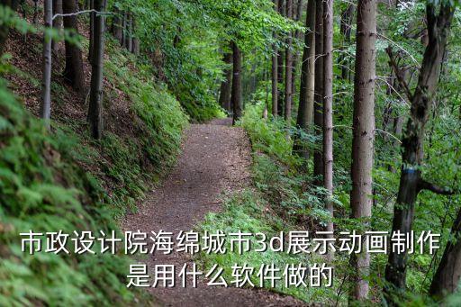上海市政海綿城市軟件，市政設計院海綿城市3d展示動畫制作是用什么軟件做的