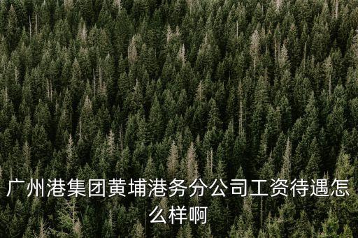 廣州港集團(tuán)黃埔港務(wù)分公司工資待遇怎么樣啊