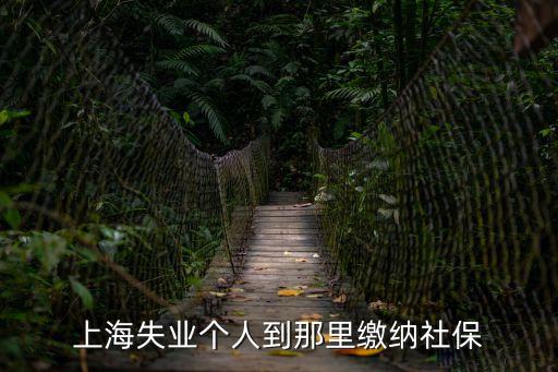 上海市大齡失業人員社保，上海失業個人到那里繳納社保
