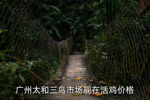 廣州三鳥市場30斤斤雞，廣洲三鳥批發(fā)市場的土雞多少錢一斤