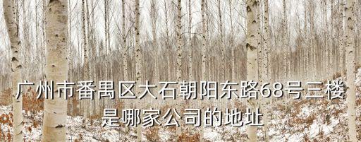 廣州市番禺區大石朝陽東路68號三樓 是哪家公司的地址