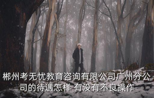 郴州考無憂教育咨詢有限公司廣州分公司的待遇怎樣 有沒有不良操作