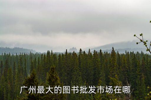 廣州最大的圖書批發市場在哪