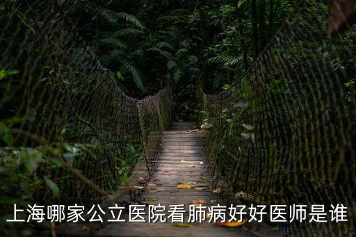 上海哪家公立醫(yī)院看肺病好好醫(yī)師是誰